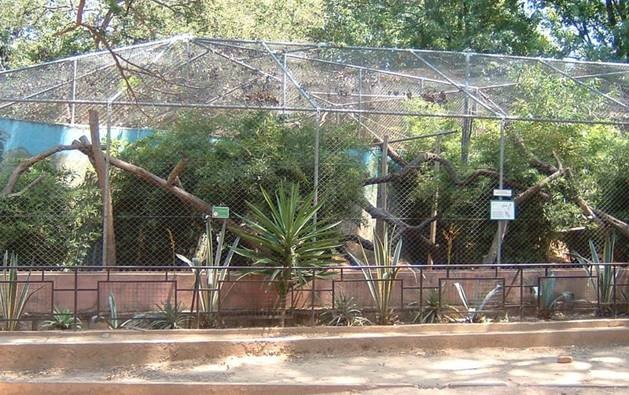 Open Air Aviary Hugh Taylor Birch State Park Example