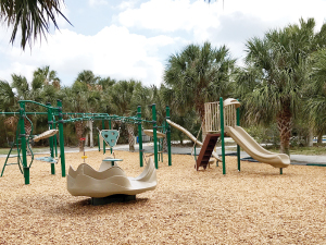 Friends of Birch State Park Accomplishments Limitless Playground