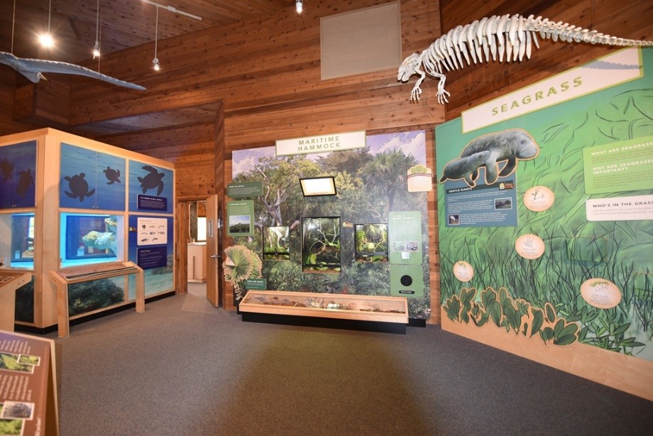 Education Exhibit Example for Hugh Taylor Birch State Park