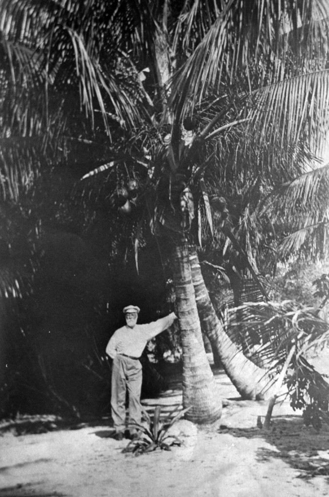 Hugh Taylor Birch and Coconut Palm