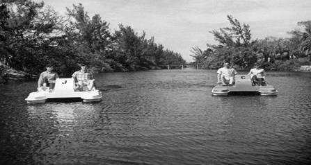 Long Lake Clean Up at Hugh Taylor Birch State Park Historical Picture