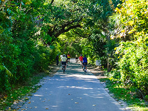 Loop Road Widening Before