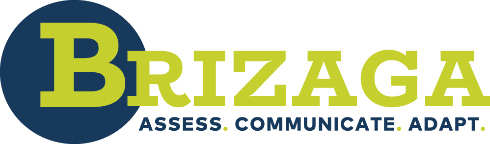 Brizaga logo